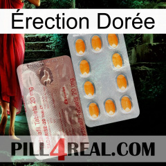 Érection Dorée new13
